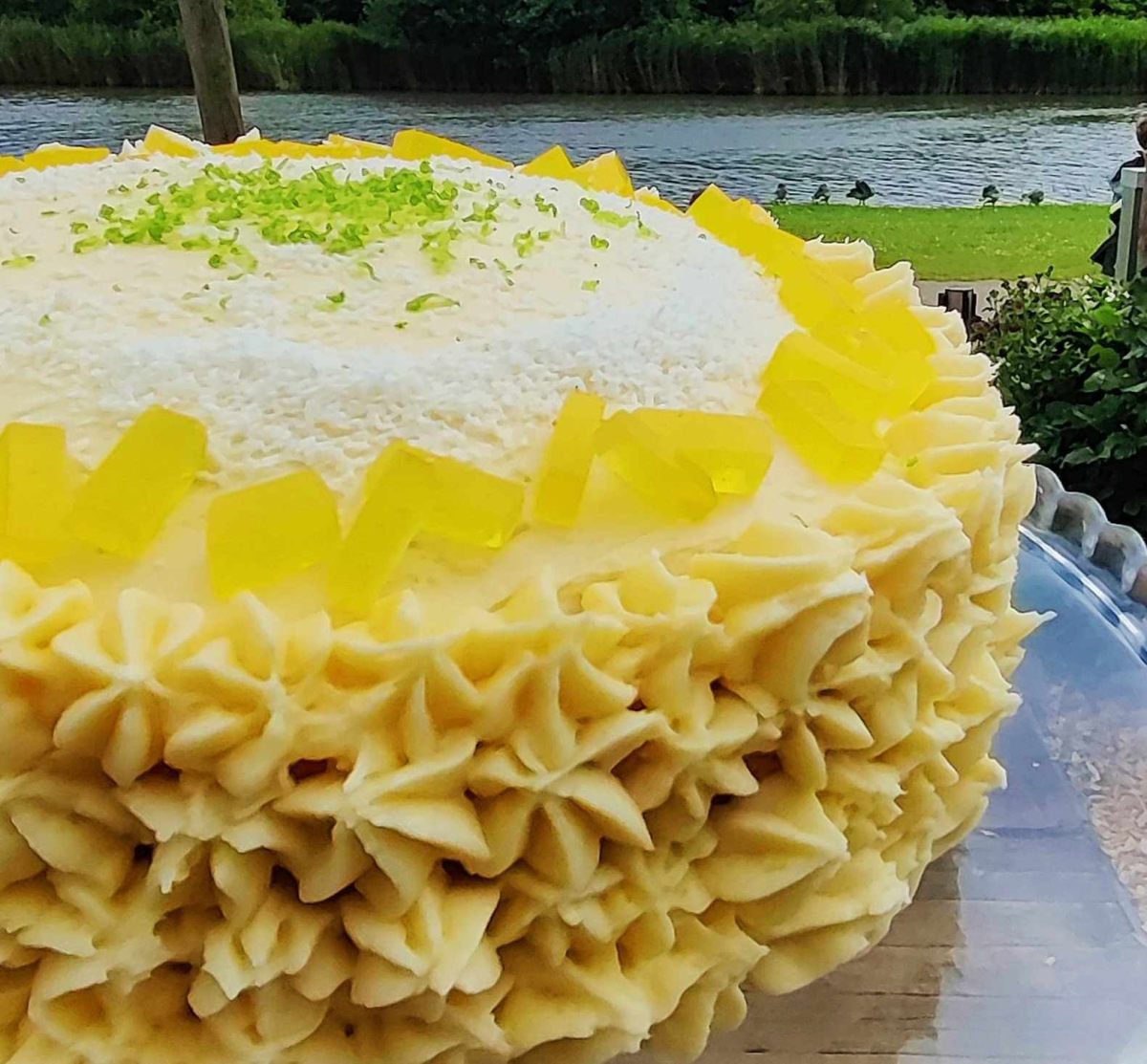 Citrus cake