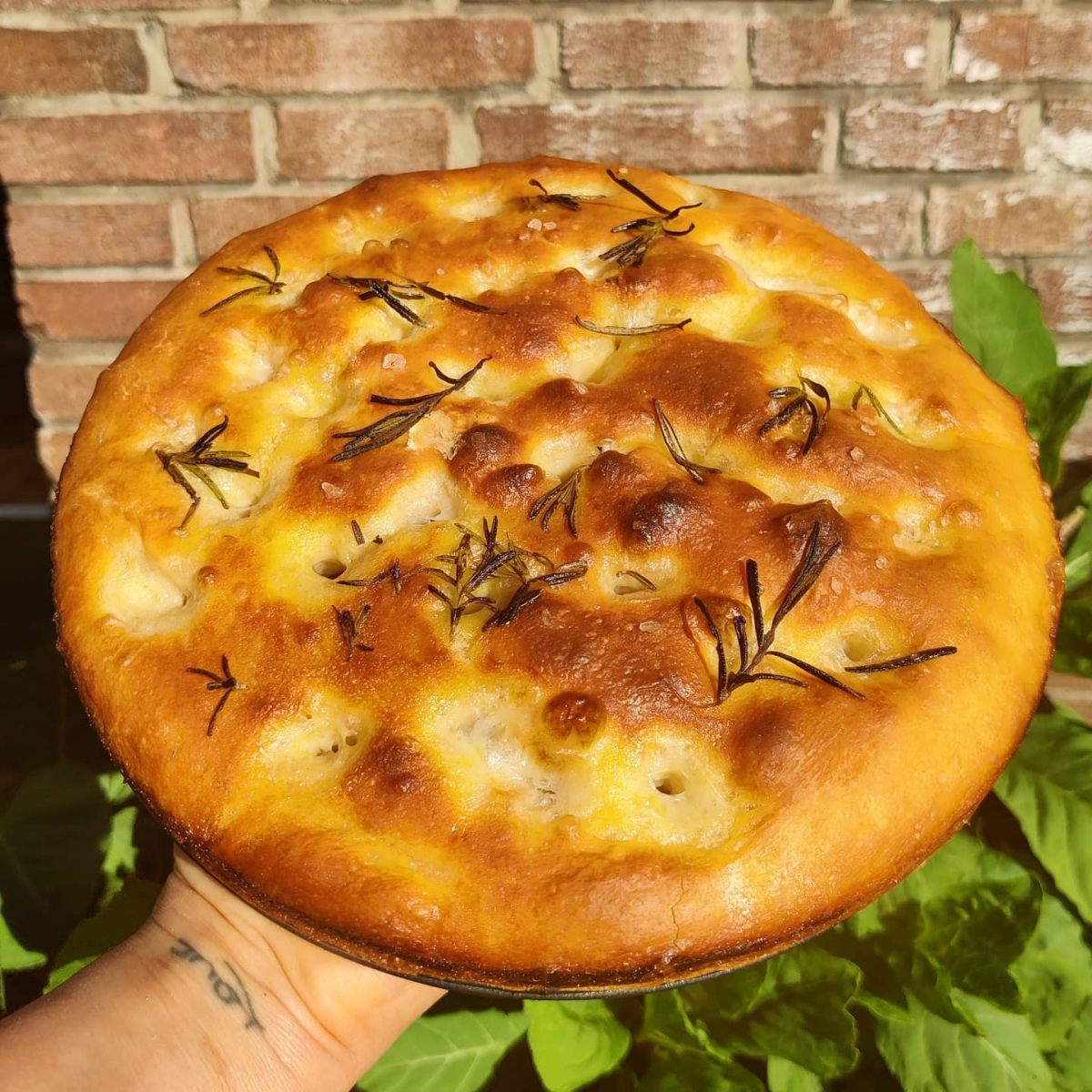 Focaccia